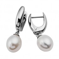 עגילי פנינה משלימים