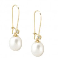 עגיל עדין תלוי