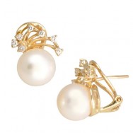 עגילי קרן הזהב