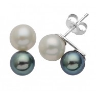 עגילי פנינה צמודים שחור ולבן