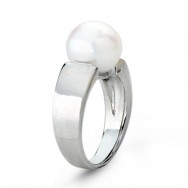 טבעת זהב לבן עם פנינה   RFT1620-10